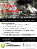 Rabia y Enfado